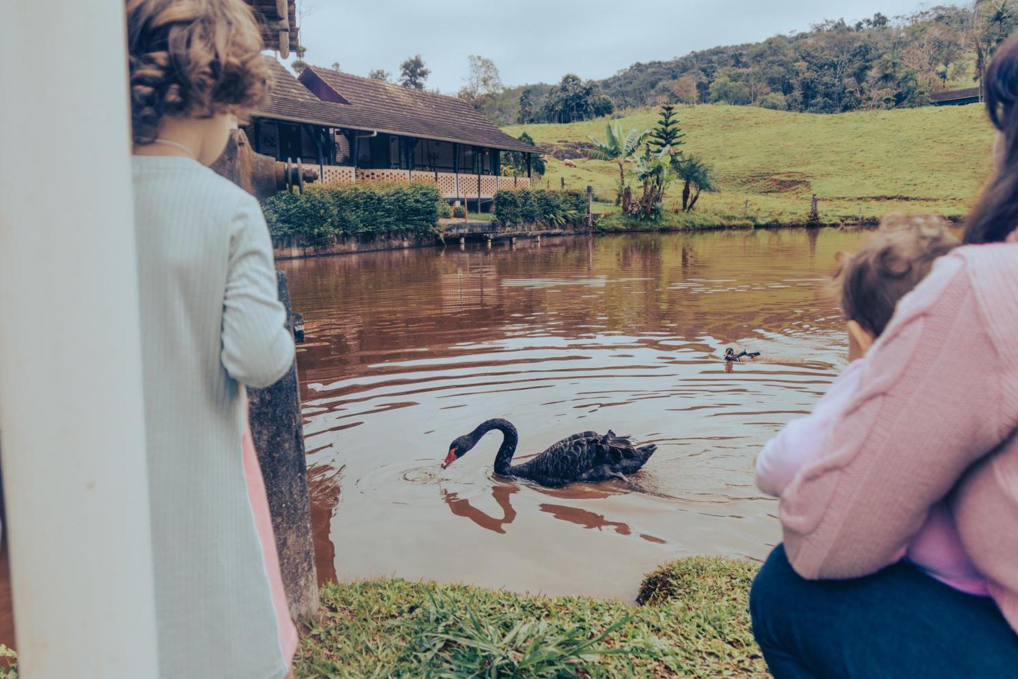 Pousada Do Imigrante Pomerode Exteriér fotografie